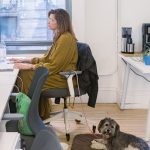 The Worst of Both Worlds: Zooming From the Office