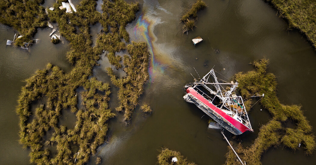 On the Cajun Coast, a Chef Grapples With Threats to a Seafood Tradition