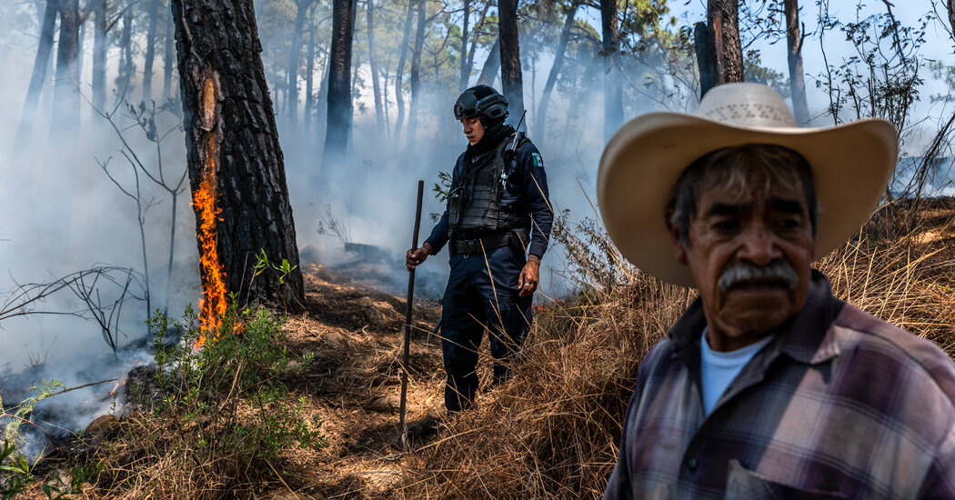 In Mexico, One Cartel Is Cleared, but Others Storm In