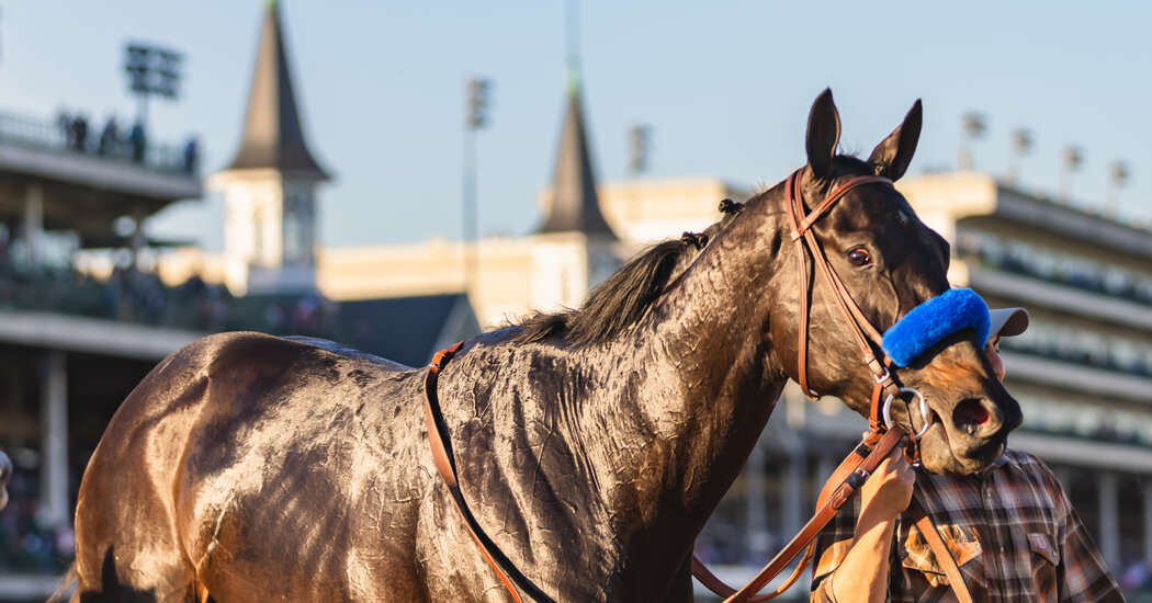 Racing Still Mourns the Ill-Fated Kentucky Derby Winner, Medina Spirit