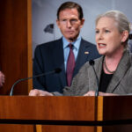 Senate Democrats Warn of G.O.P. Effort to Restrict Abortion Nationwide