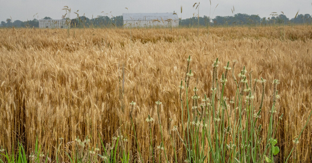 Finding Traces of Harriet Tubman on Maryland’s Eastern Shore