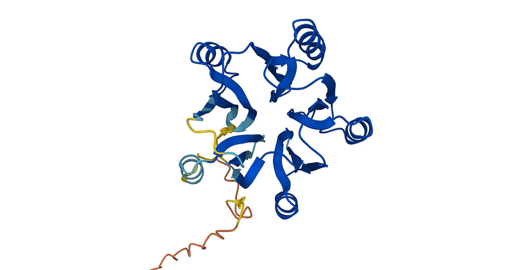 A.I. Predicts the Shape of Nearly Every Protein Known to Science