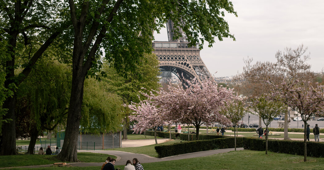 Plans to Fight Global Warming Face an Obstacle in Paris: Trees