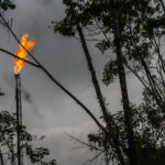 In the Amazon, a U.N. Agency Partners With Oil Companies