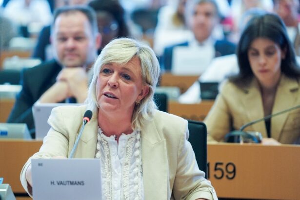 Hilde VAUTMANS: EU`s relations with African states is challenged by historical mistrust and stereotypes